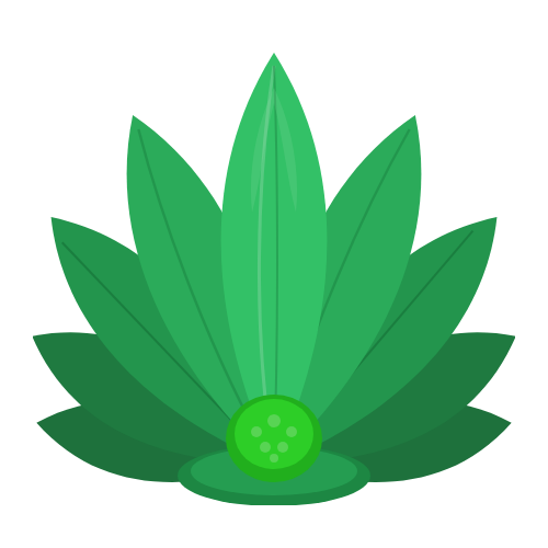 420